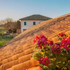 Casale Acquasanta Pensión