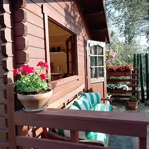 2* Guest house Appia Antica